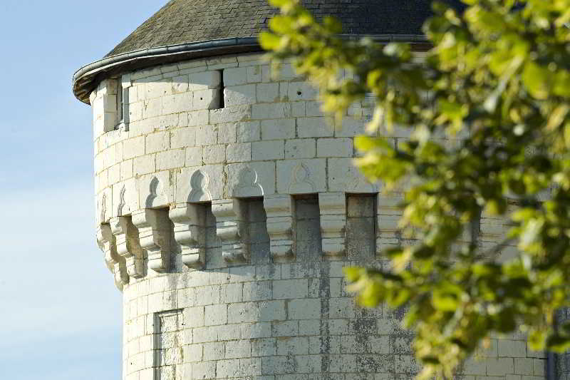 Chateau De Marcay Kültér fotó