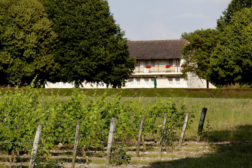 Chateau De Marcay Kültér fotó
